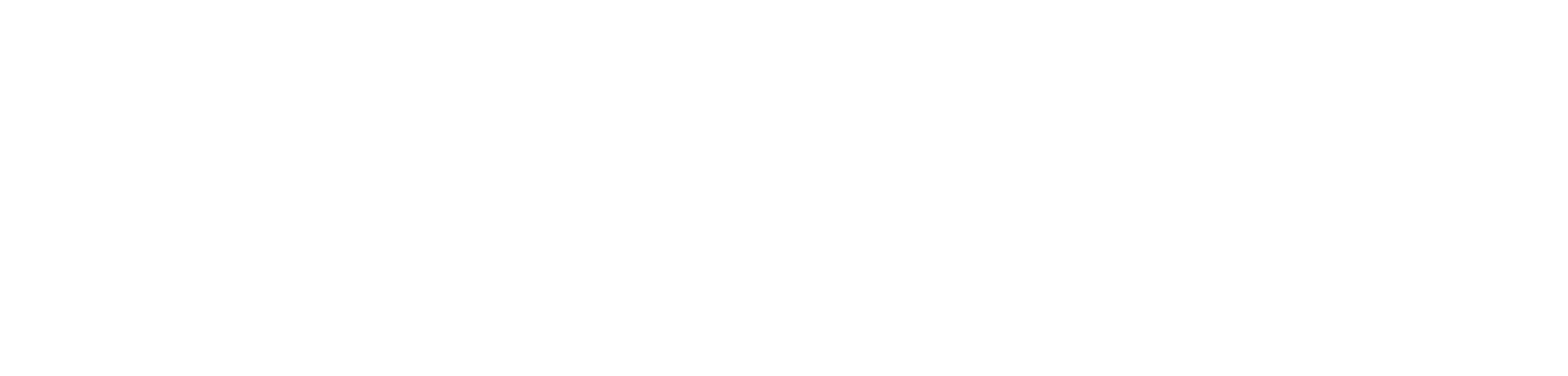 PrimeFort